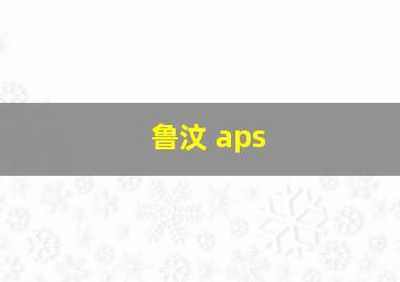 鲁汶 aps